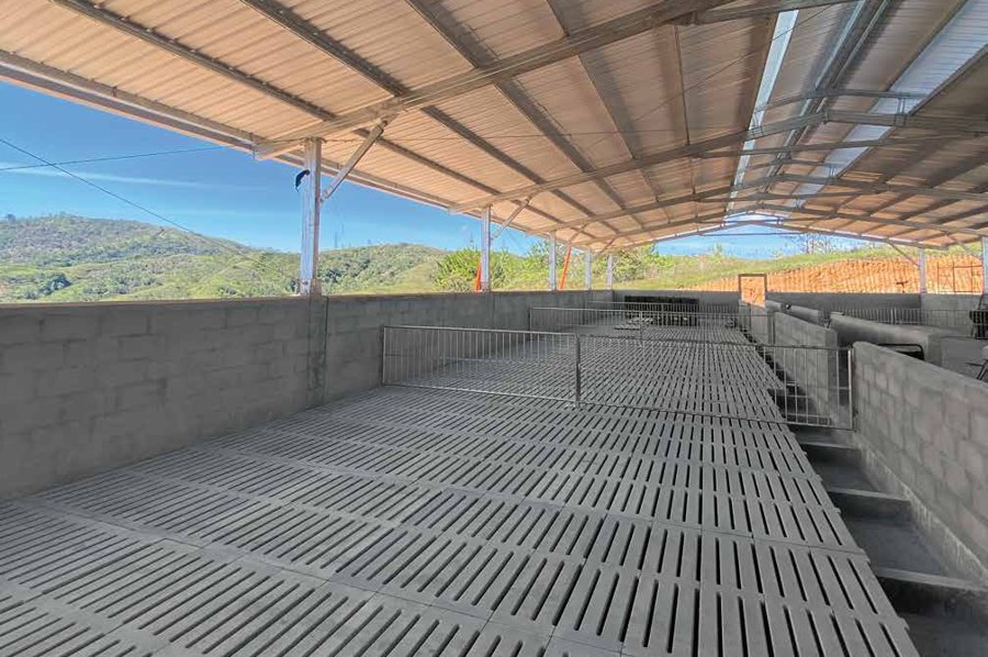 Rejillas SLAT de concreto Cimbrados instaladas en los corrales de una granja porcícola